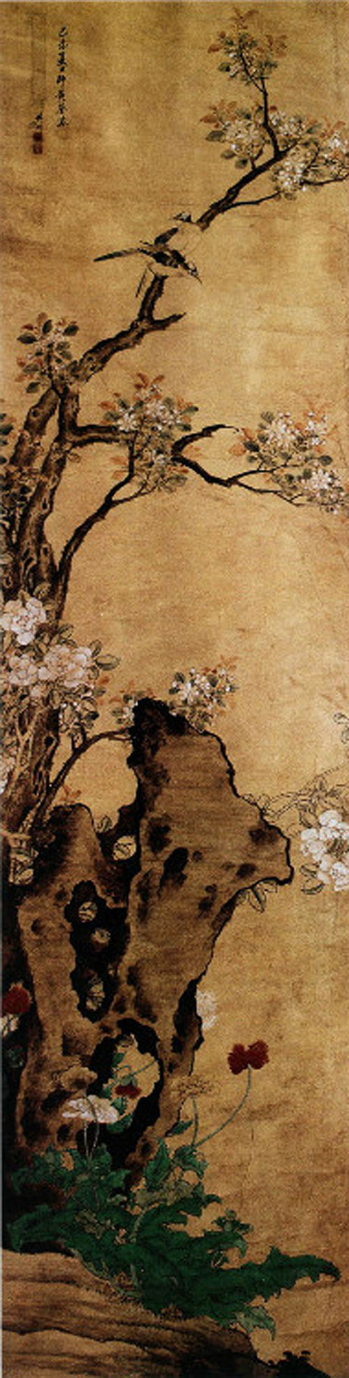 租画网
