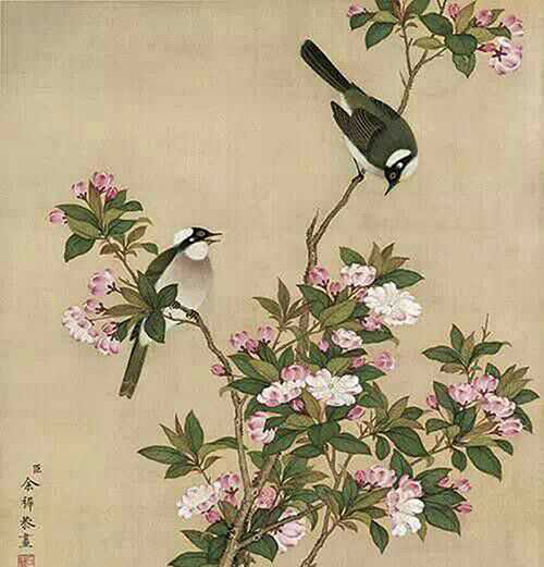 租画网