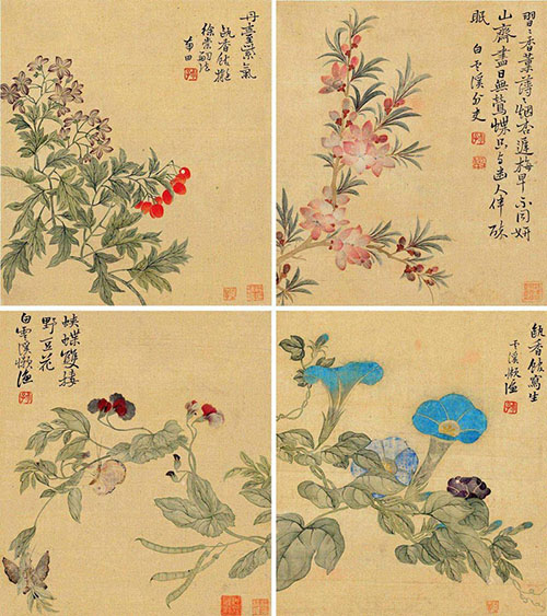 租画网
